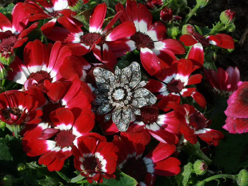 Gold backed silver Victorian flower brooch and pendant loaded with diamonds from the antique jewelry collection of Adin Antique Jewelry, Antwerp, Belgium