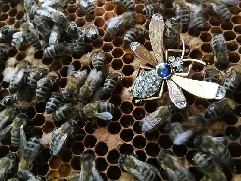 Click the picture to get to see this Victorian queen bee brooch with diamonds sapphire and emeralds.