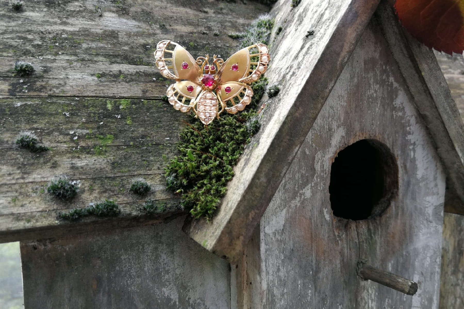 Click the picture to get to see this Late Victorian gold butterfly with red strass stones and half seed pearls.