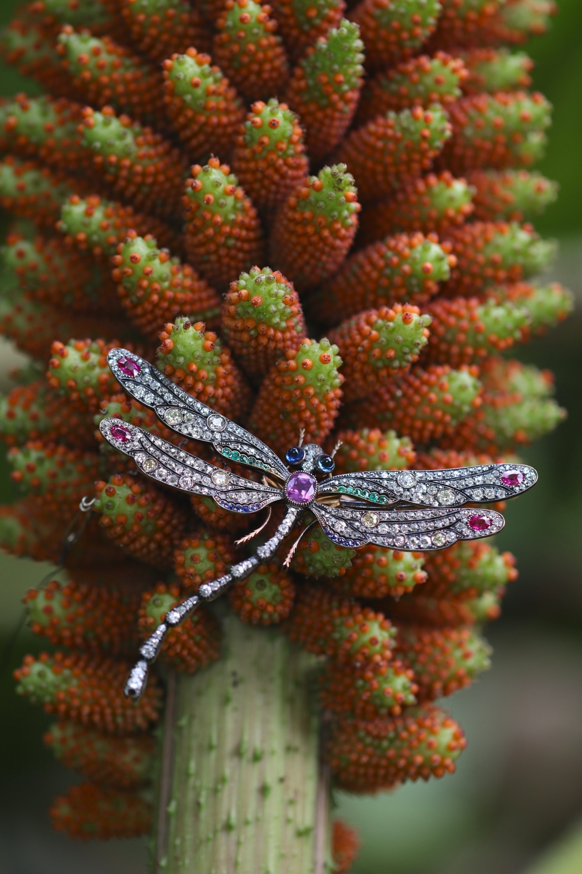Click the picture to see more of this magnificent Art Nouveau bejeweled dragonfly brooch