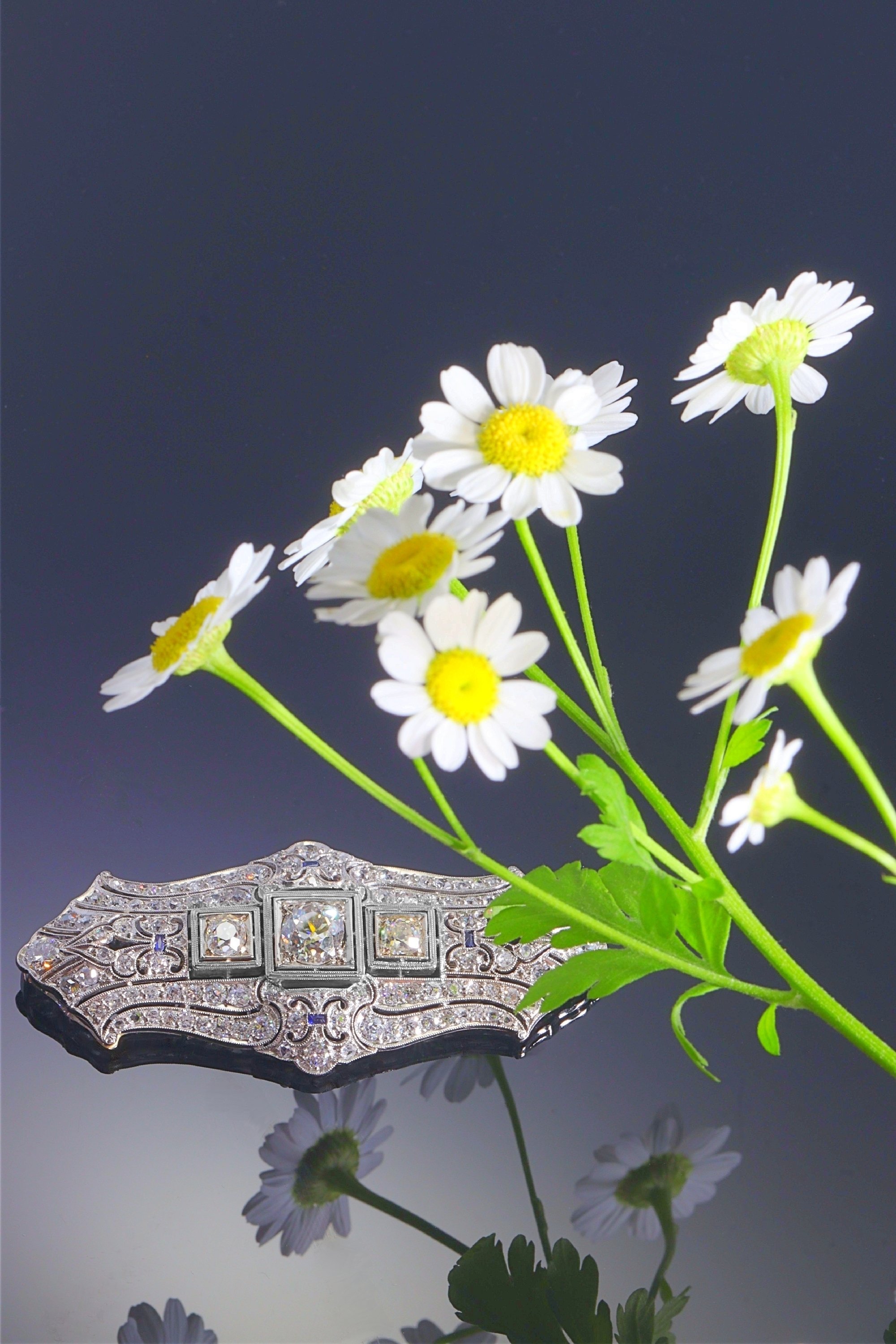 Click the picture to see of this Original Vintage Art Deco diamond platinum brooch