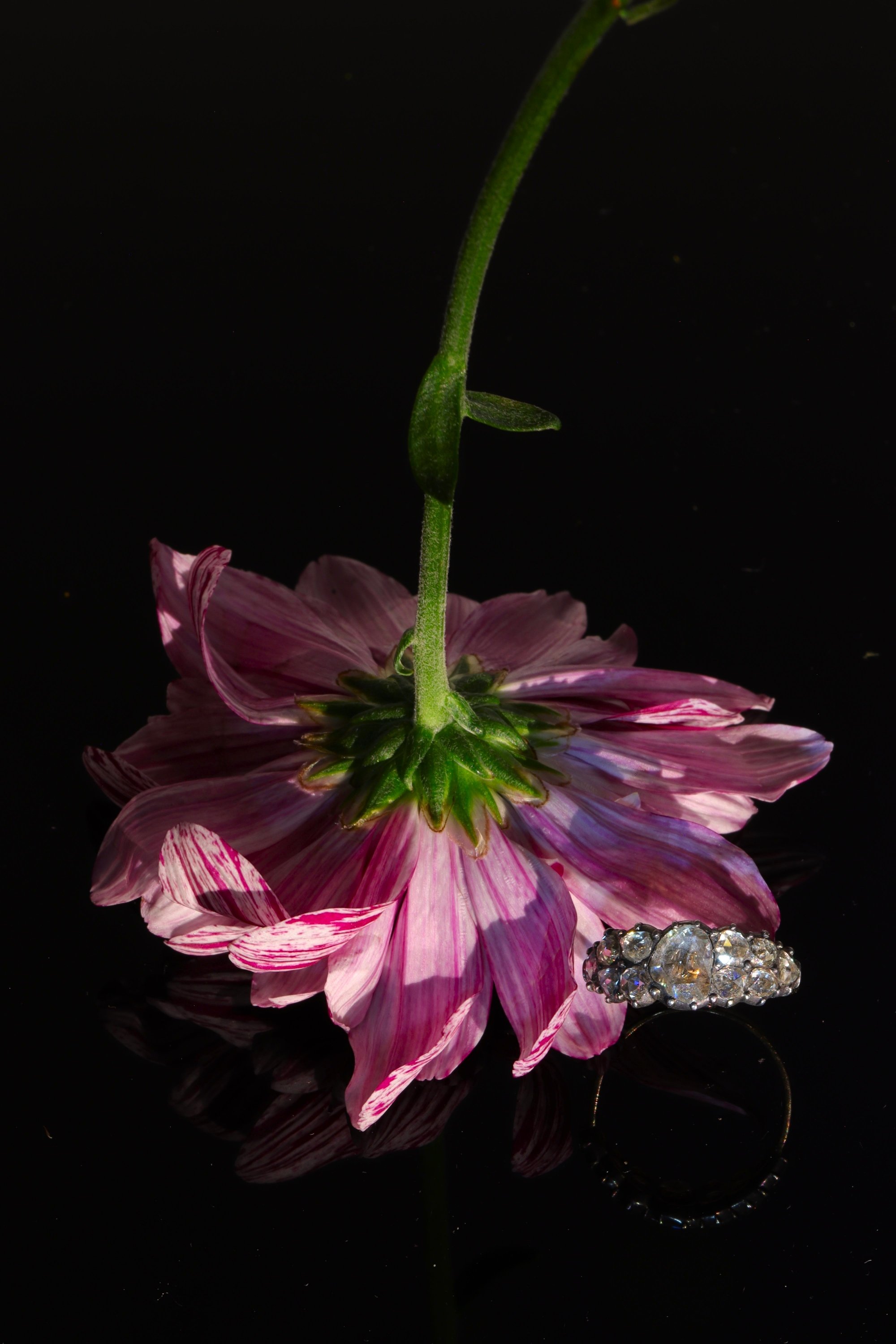 Click the picture to find out more about this very early Victorian diamond ring
