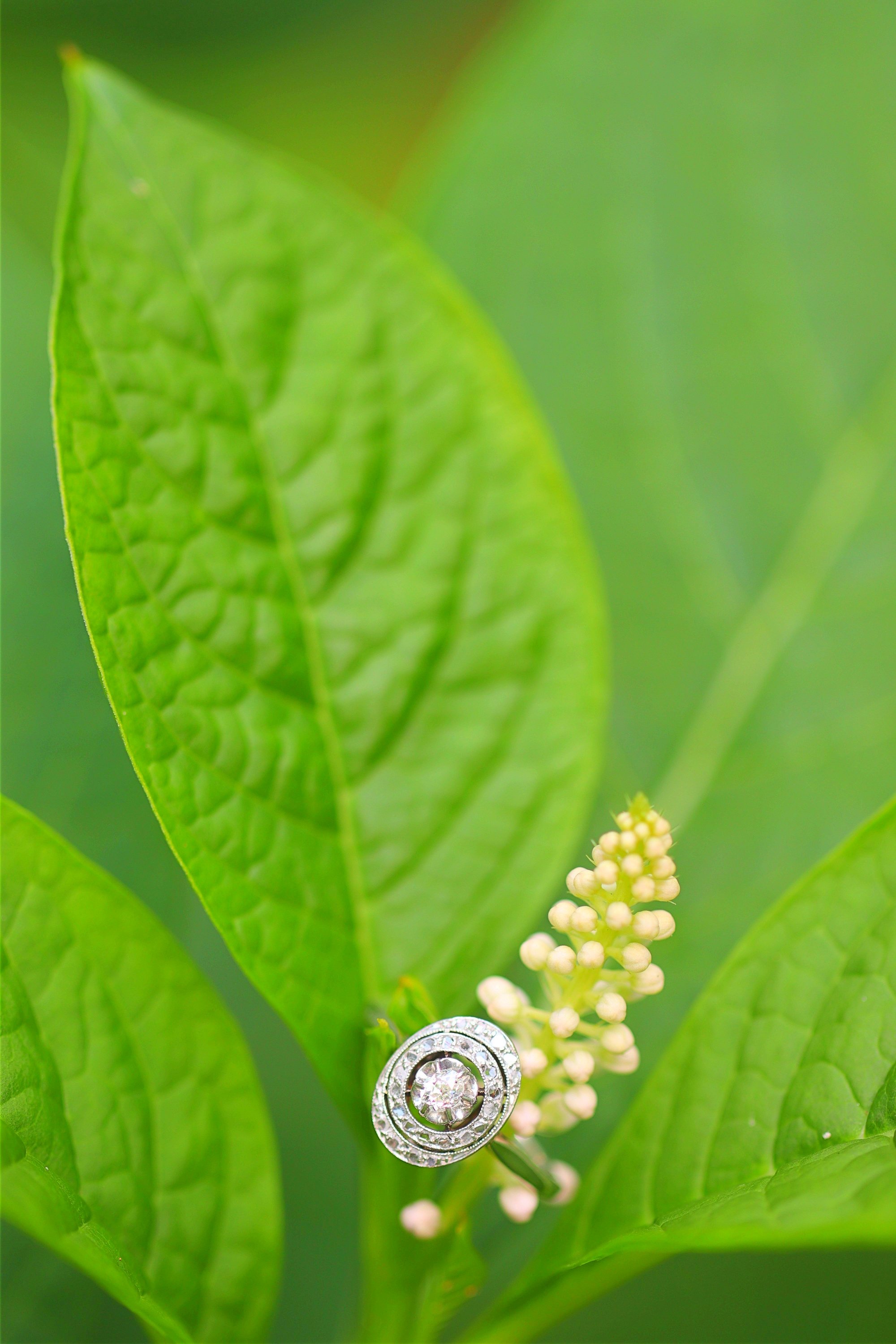 Click the picture to find out more about this genuine Vintage French Art Deco diamond ring