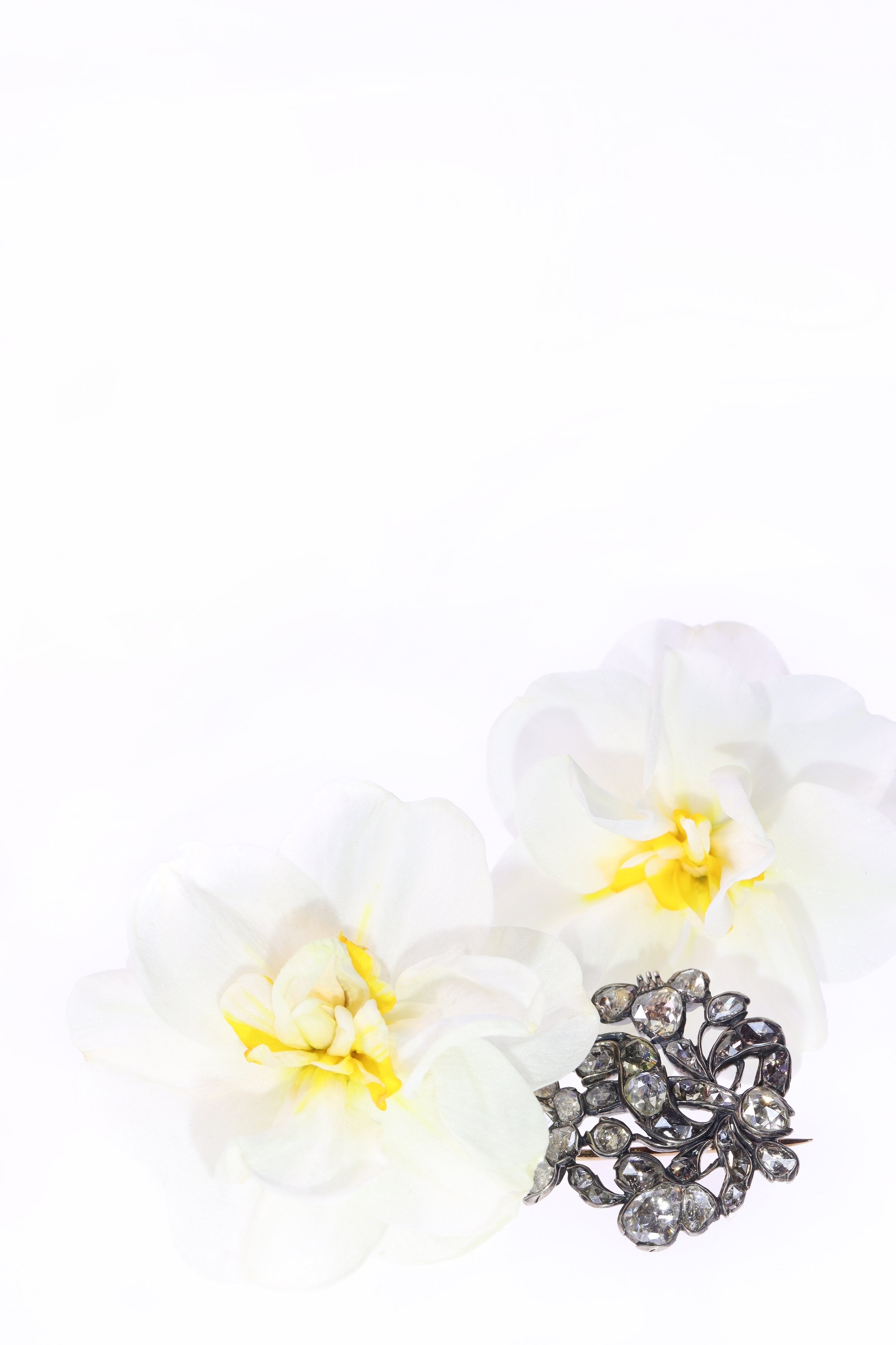 Click the picture to find out more about this Old World Opulence: Rose Cut Diamond Brooch in Baroque Style