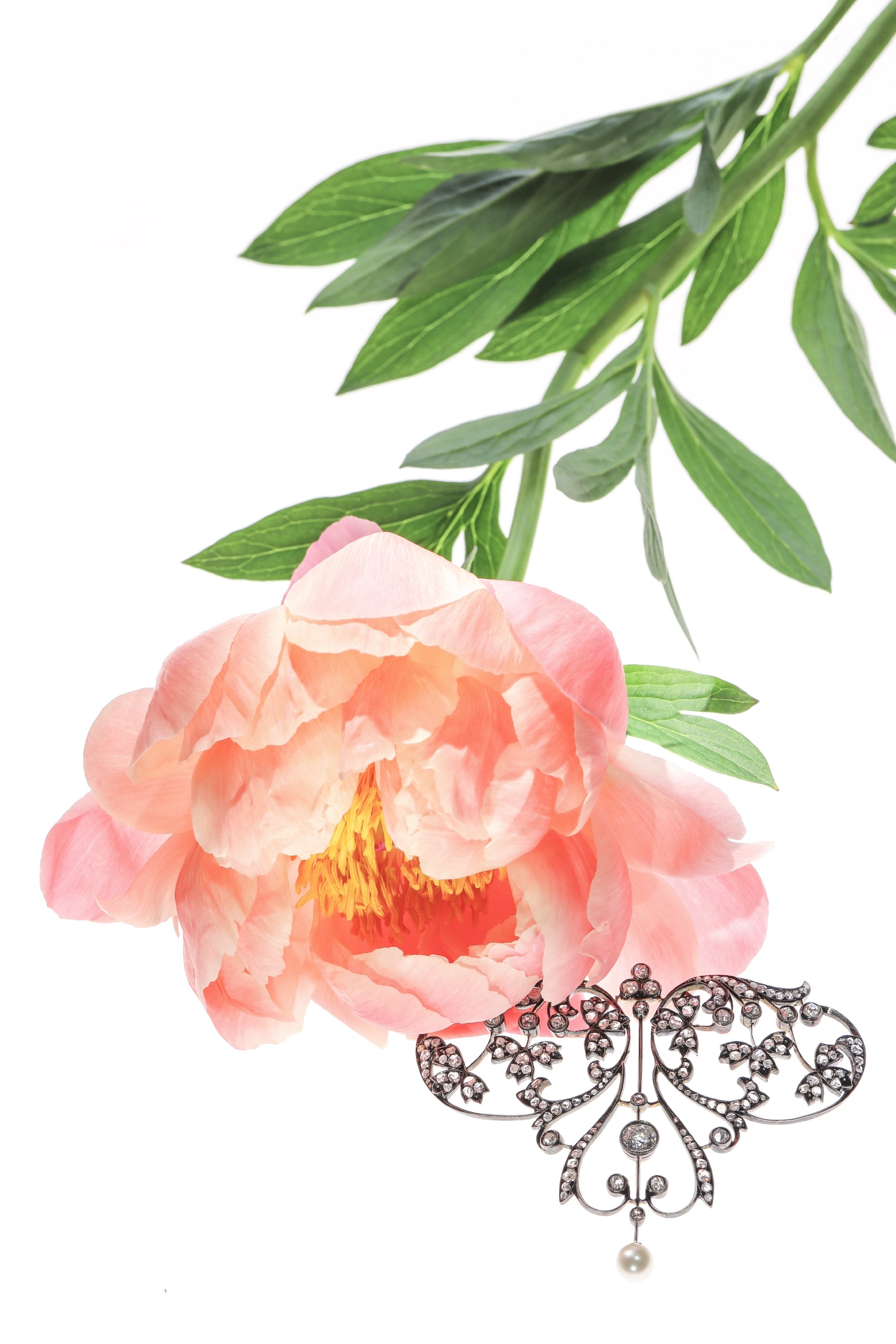 Click the picture to find out more about this Romantic Reverie: Victorian Diamond Brooch-Pendant with Pearl Accent
