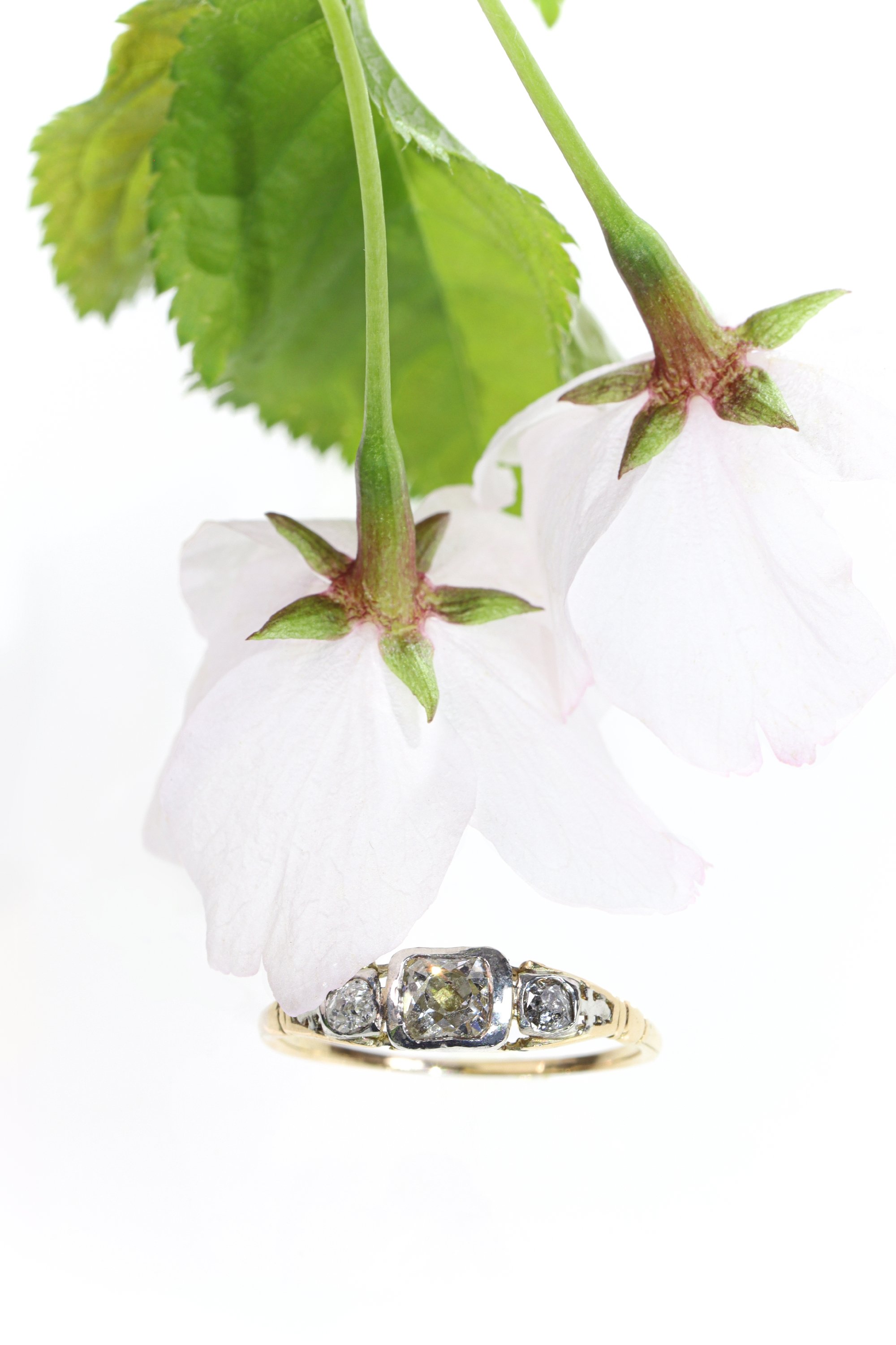 Click the picture to find out more about this Whispers from the Past: The Renaissance Diamond Ring's Tale