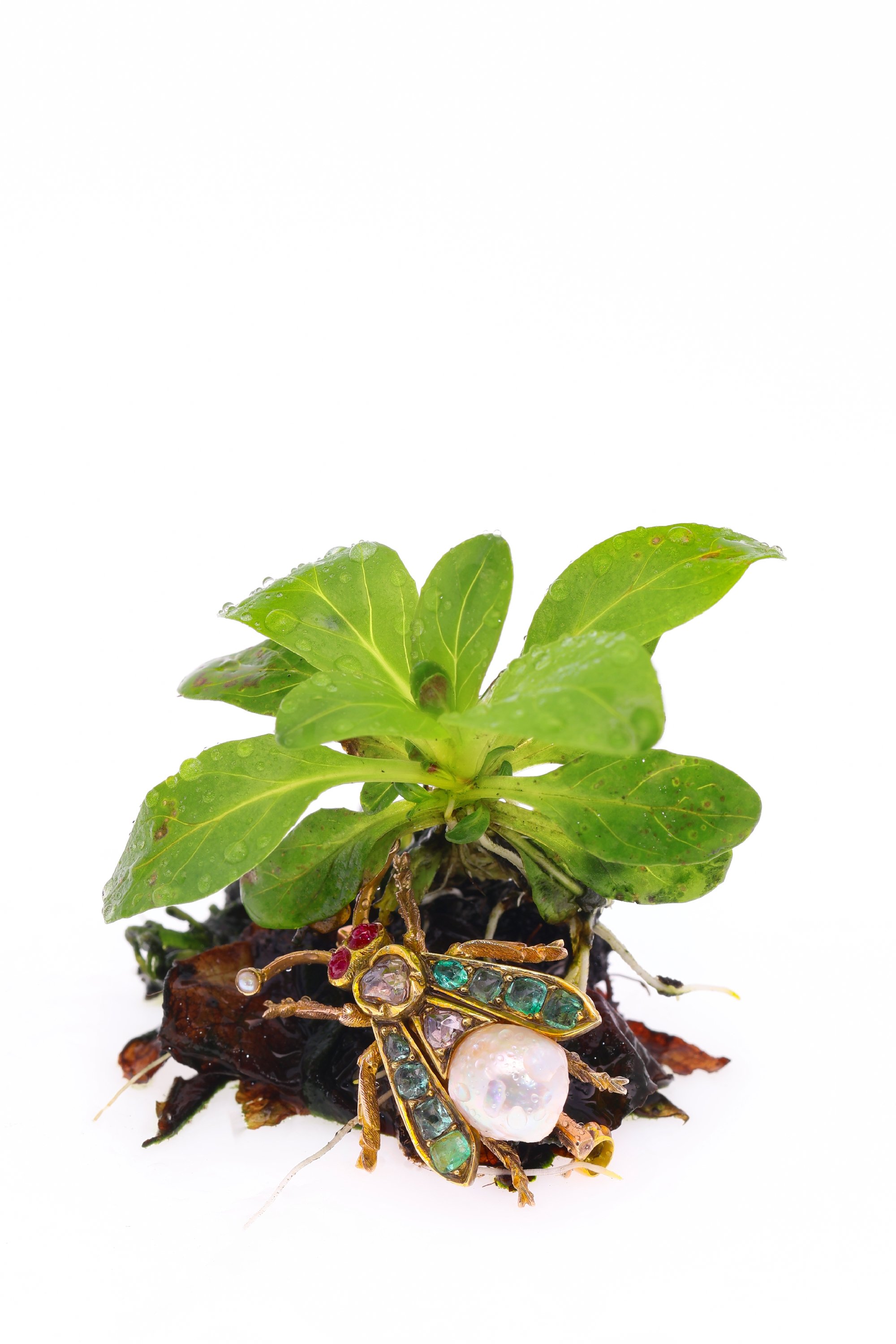 Click the picture to find out more about this Enchanting 1870s Vintage Fly Brooch: Victorian Elegance in Gold